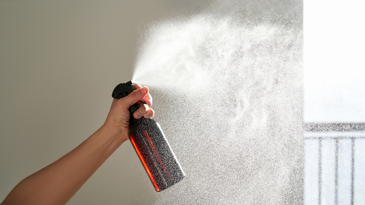 Ants Away Kitchen Spray