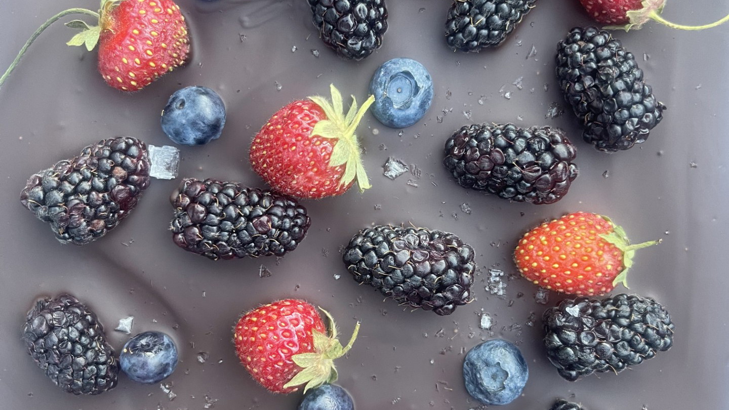 Dark Chocolate Berry Bark