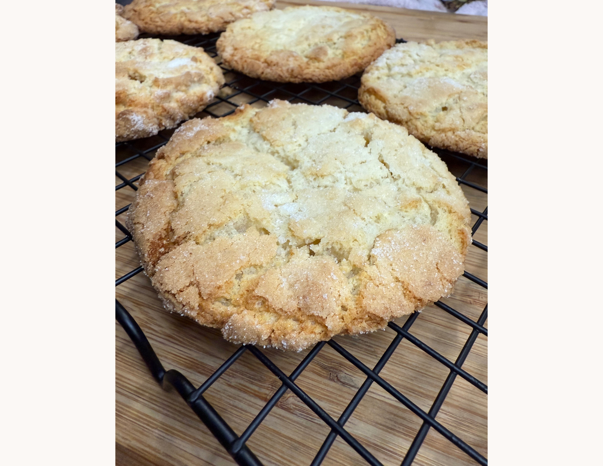 Sugar Cookies