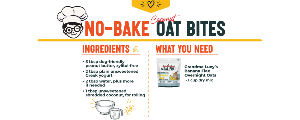 No-Bake Oat Bites