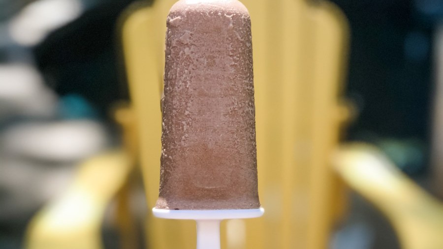 Image of Creamy Chocolate Coconut Ice Pops