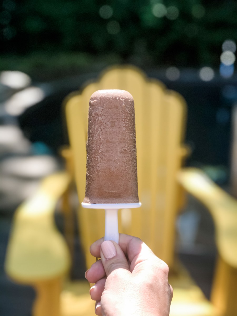 Creamy Chocolate Coconut Ice Pops