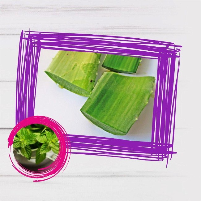 Image of Vegan Aloe vera Cucumber Smoothie Recipe