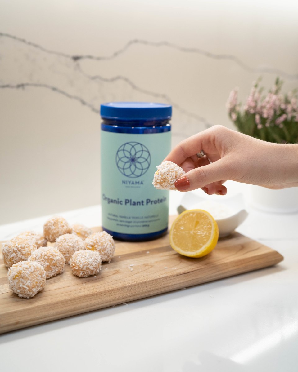 Lemon Coconut Bliss Balls