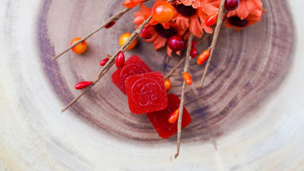Image of Cranberry Dream Natural Gummies