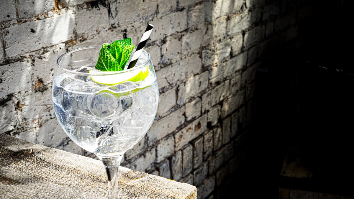 Image of Mediterranean Gin and Tonic with Elderflower, Apple and Fresh Mint