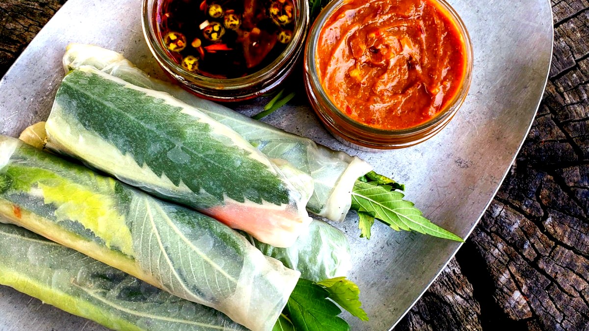 Image of Vietnamese Fresh Rolls with Spicy Tang Tang Sauce