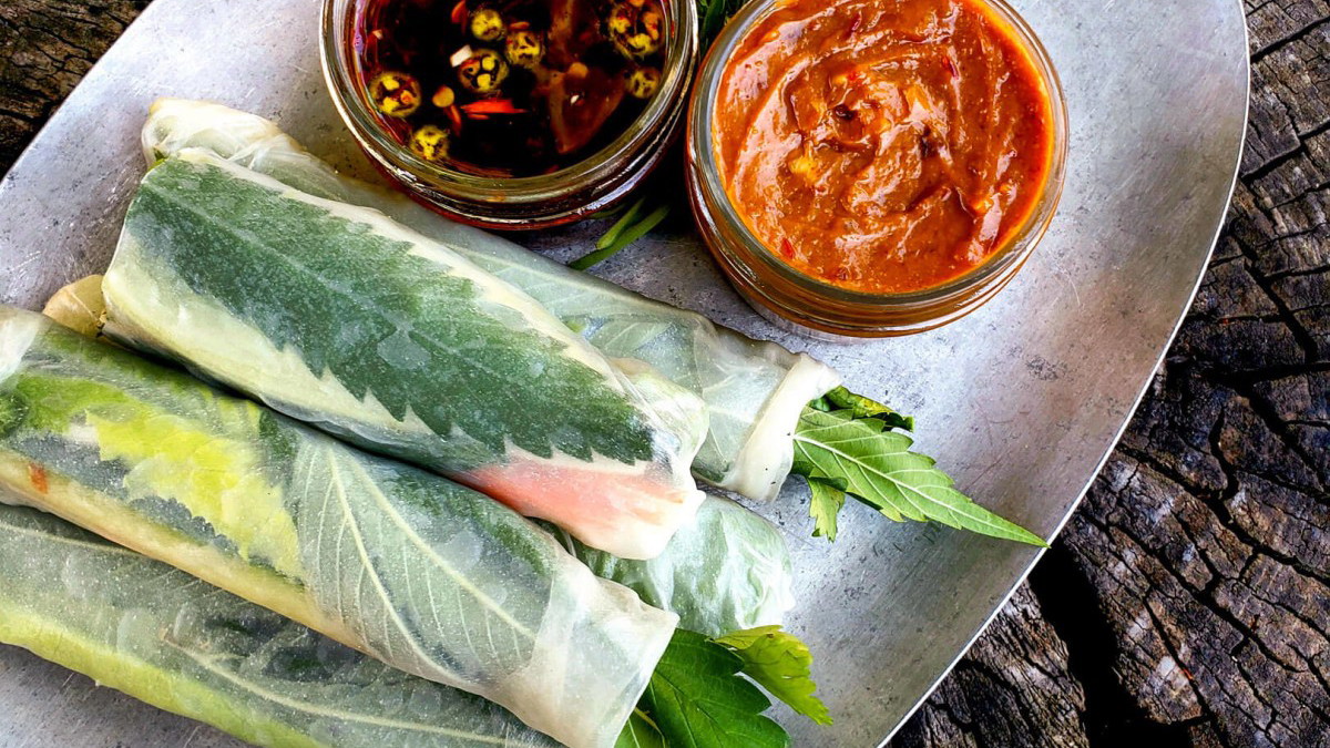 Image of Vietnamese Fresh Rolls with Spicy Tang Tang Sauce