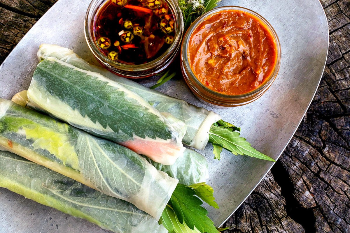 Vietnamese Fresh Rolls with Spicy Tang Tang Sauce