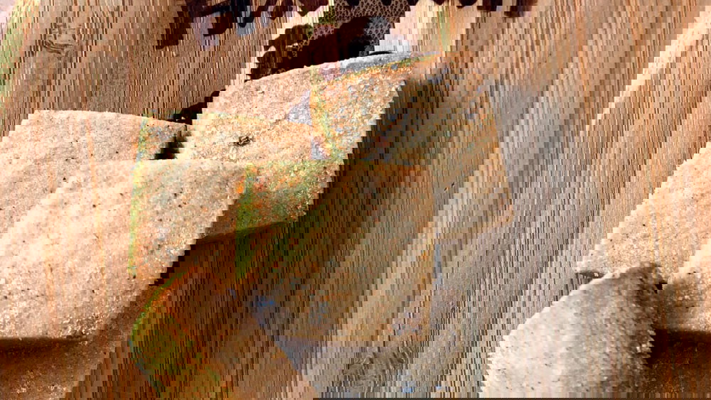 Image of ʻUlu Flour Shortbread Cookies