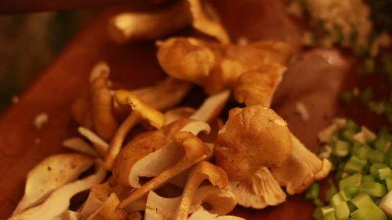 Image of Wild Mushroom Stuffing 