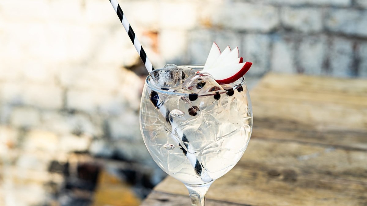 Image of Elderflower Gin and Tonic with Apple and Juniper