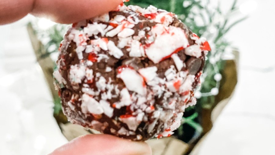 Image of Candy Cane Chocolate Plant Protein Balls