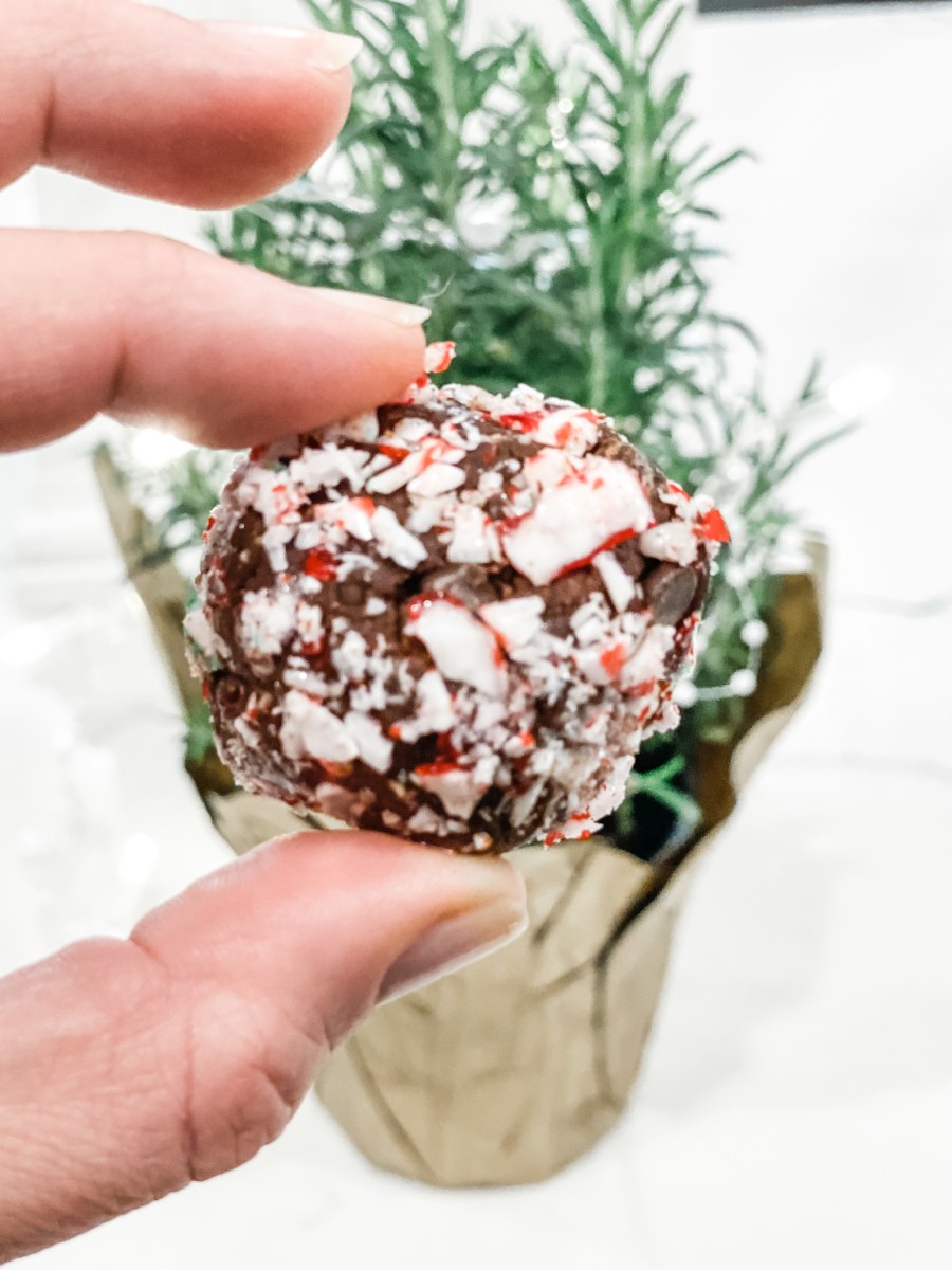 Candy Cane Chocolate Plant Protein Balls