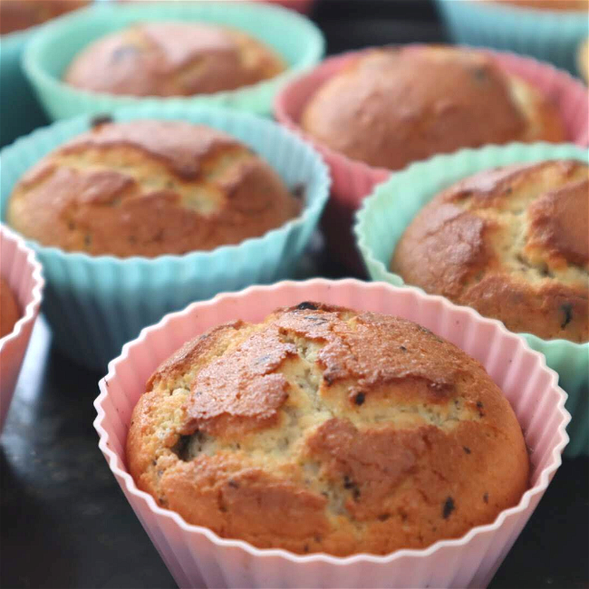 Image of Classic Vanilla Muffins