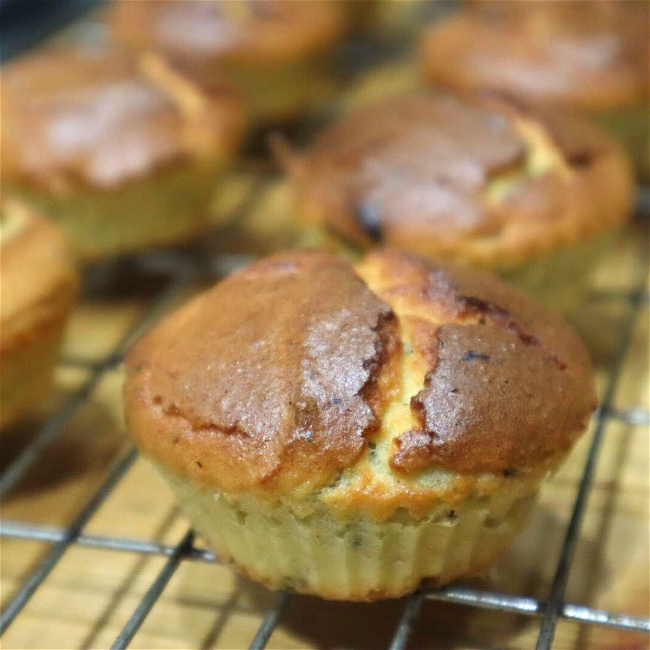 Image of Coconut Vanilla Muffins