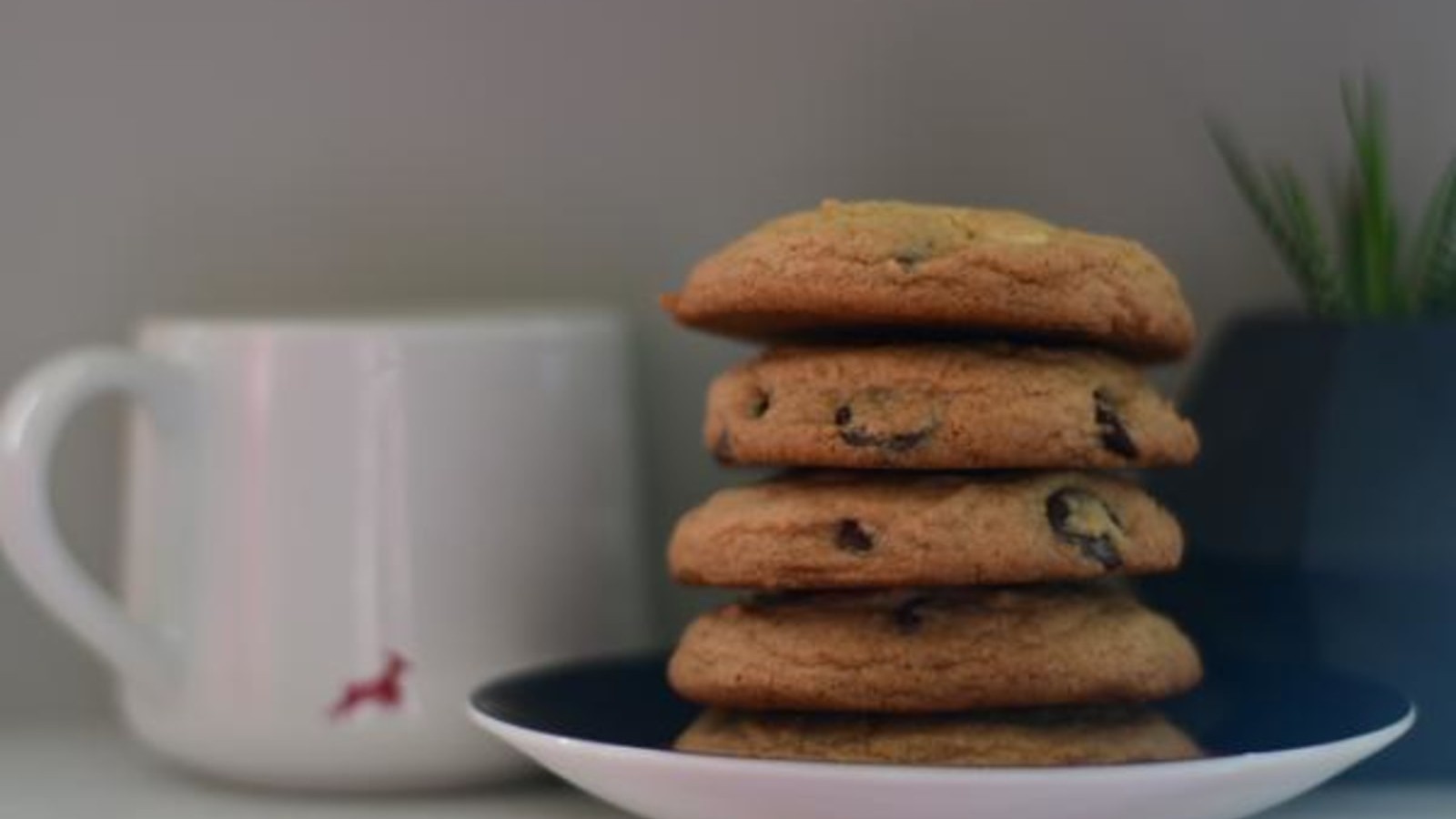 Image of Chocolate Chip Cookie - Great with Coffee! 