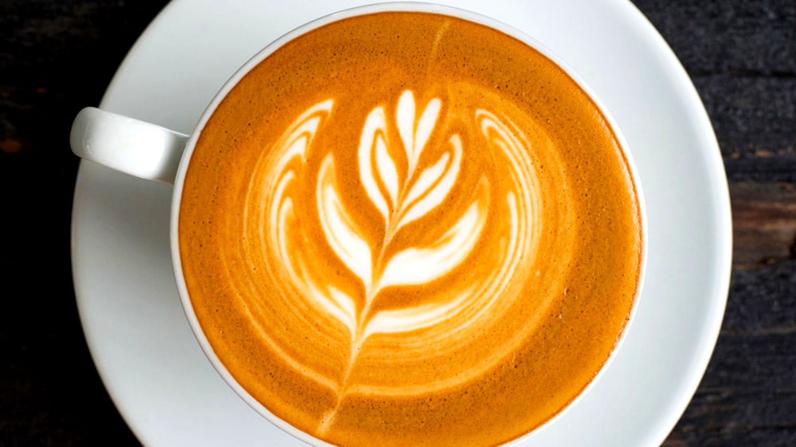 Image of Terrific Turkey Tail Latte