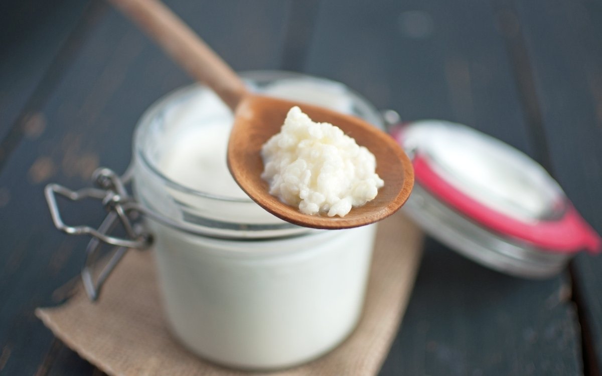 Milk Kefir