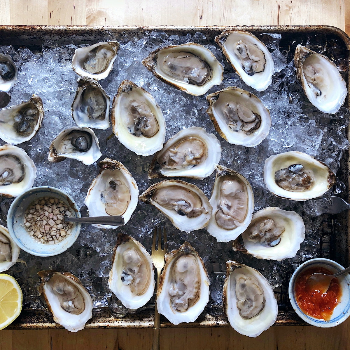 Oysters