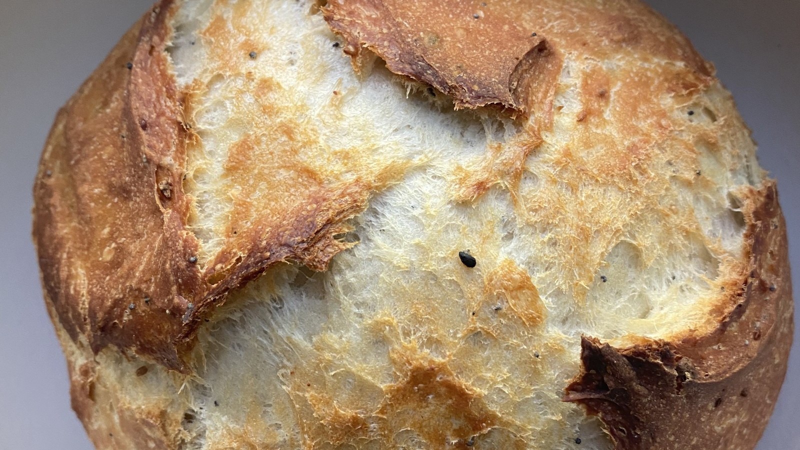 Image of No Knead EBTB Bread