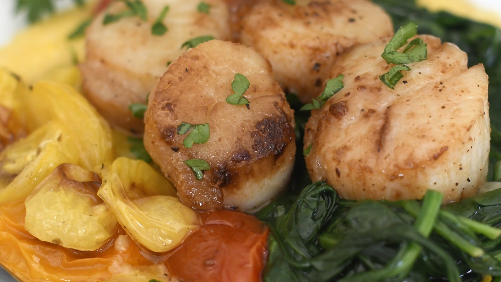 Image of Pan-Seared Sea Scallops with Tomatoes & Spinach over Polenta