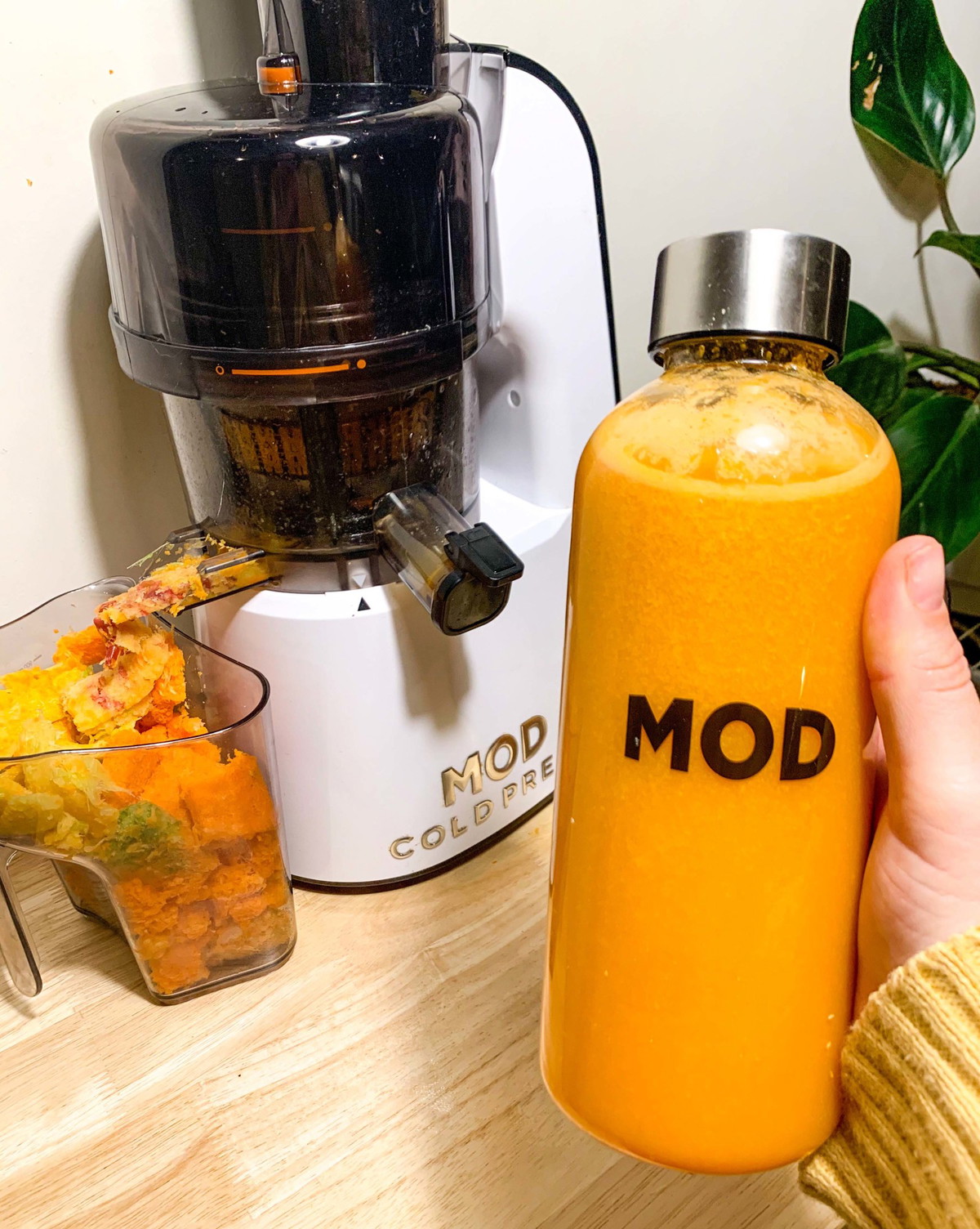 Easter Inspired Juice Recipe | MOD Appliances