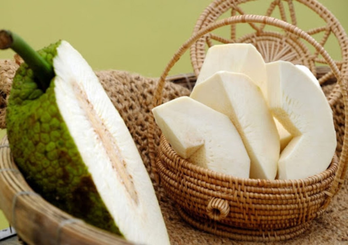 How to Cook Breadfruit