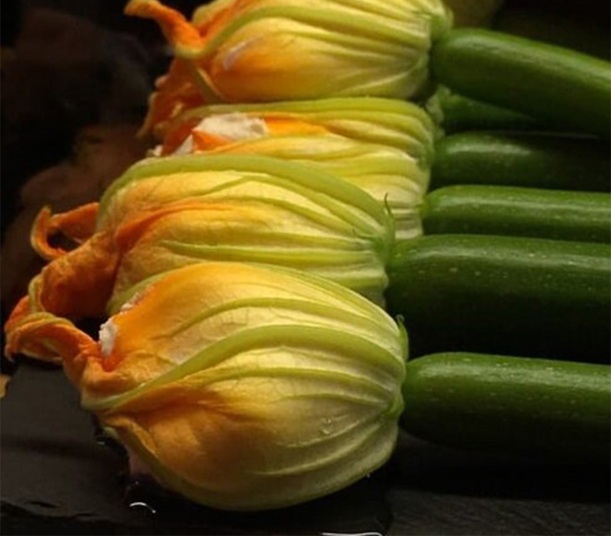 Ruth Chipps’ Summer Squash
