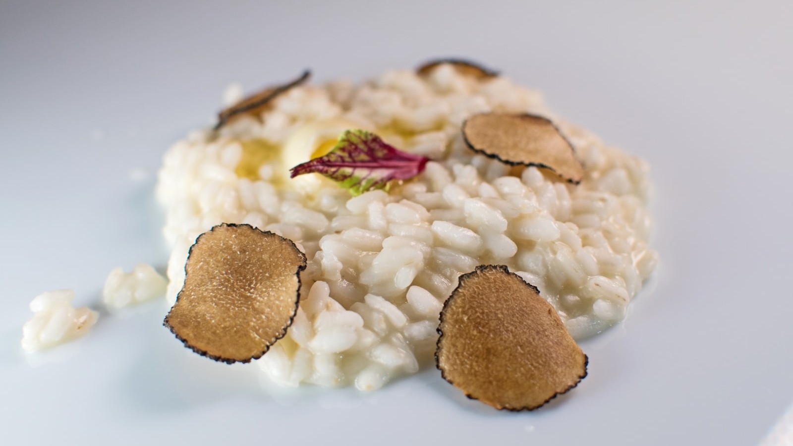 Image of Risotto with Black Lyophilized Truffles