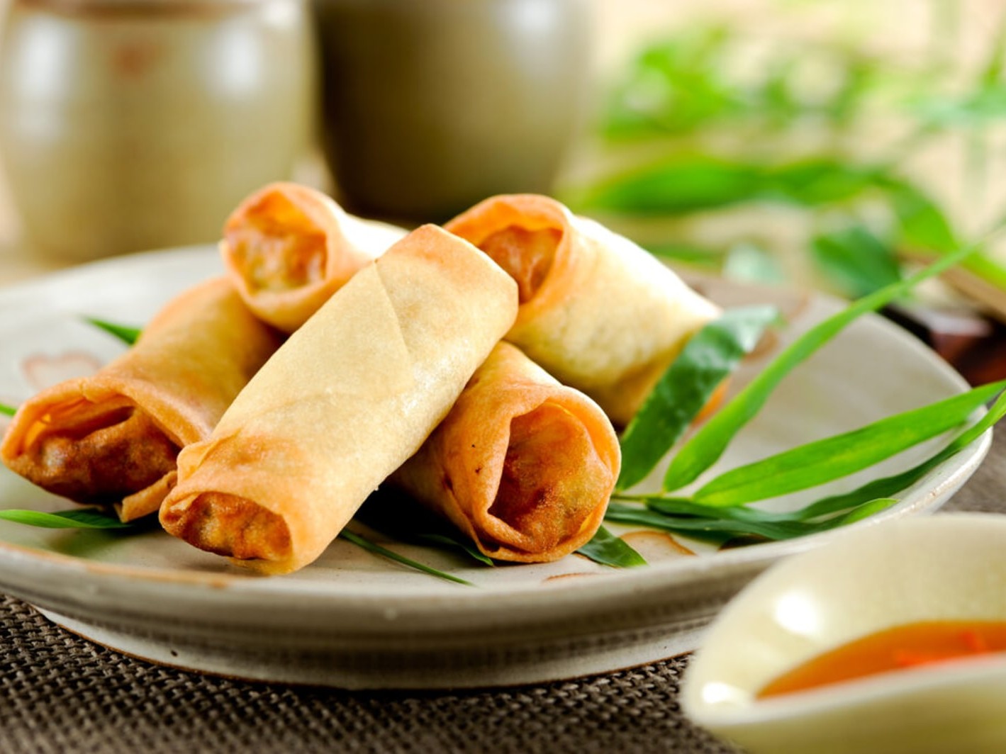Crispy baked tofu vegetable spring rolls