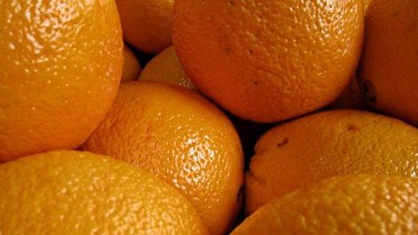 Orange You Glad Protein Shake-image