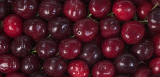 Cherry Vanilla Swirl Protein Shake