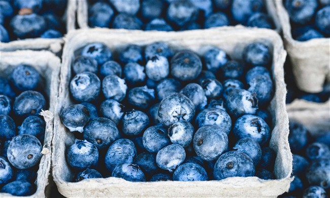 Image of Blueberry Bananza Protein Smoothie