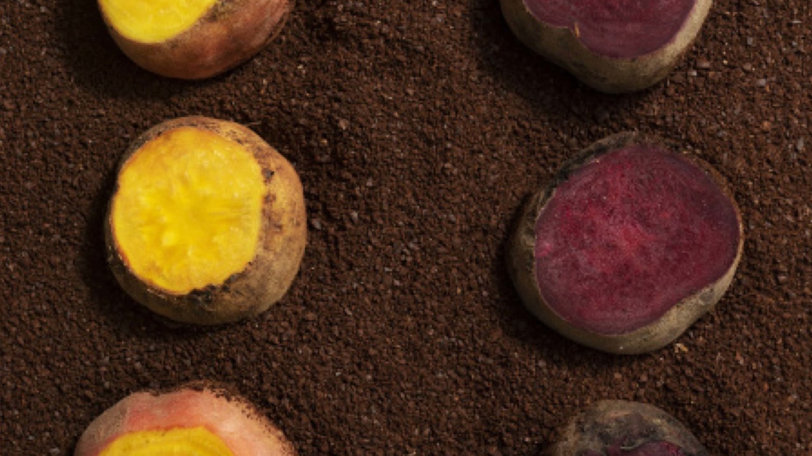 Image of Coffee Roasted Beets