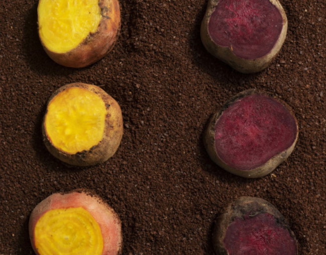 Image of Coffee Roasted Beets