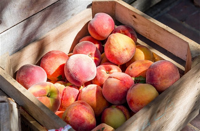 Image of Peaches and Cream Protein Shake