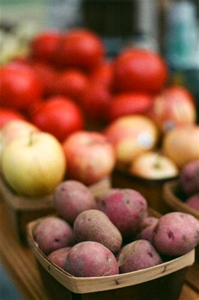 Image of Roasted Sweet Potatoes and Apples Recipe