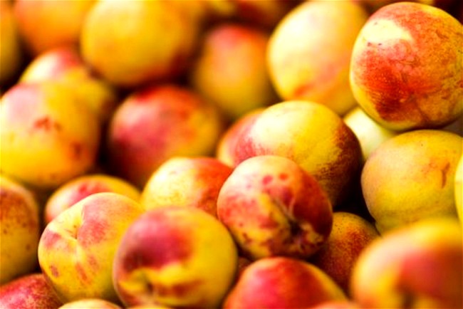 Image of Baked Nectarines Recipe