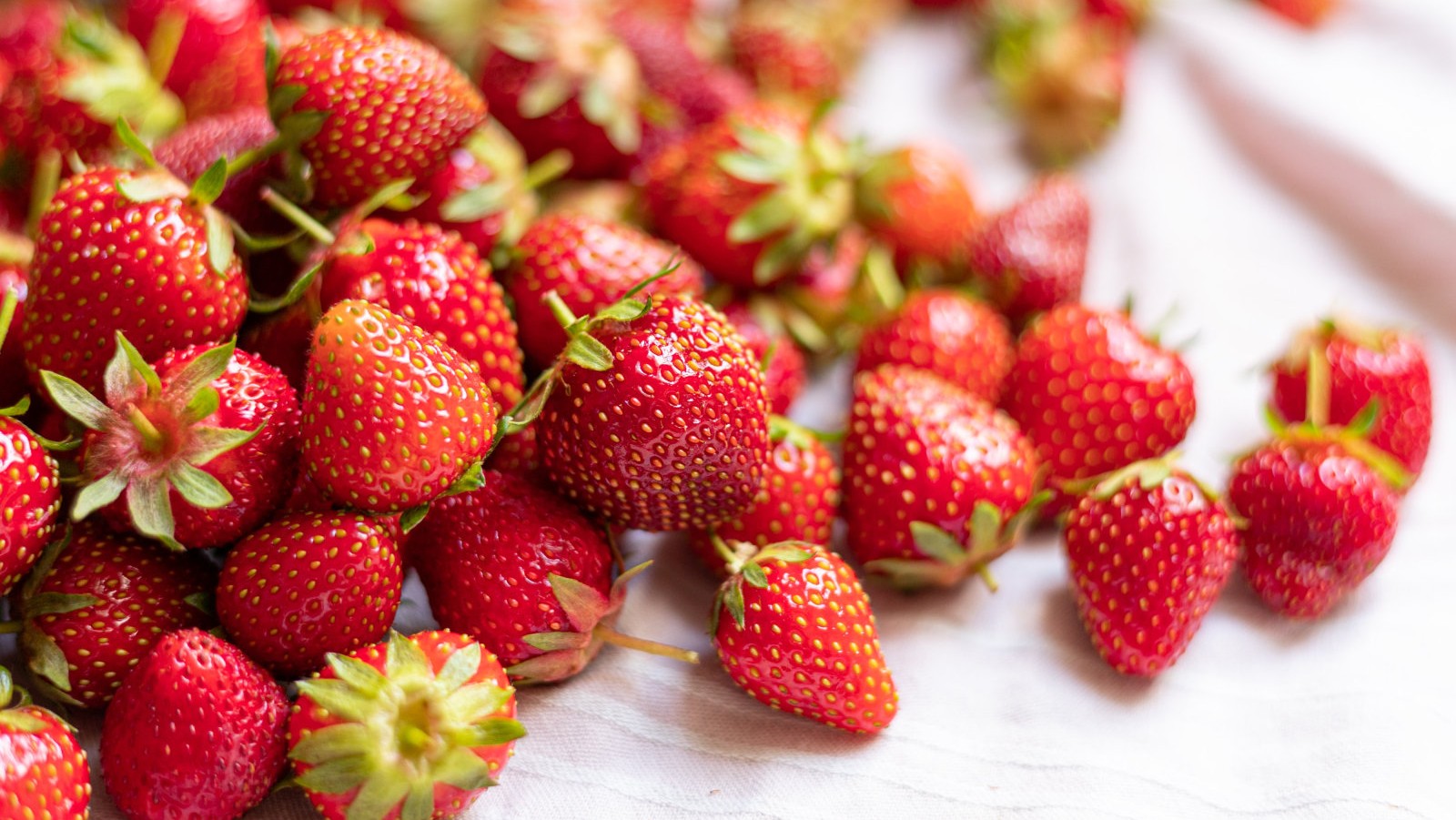 Image of Strawberry Spritz Forever