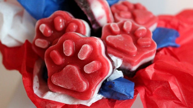 Image of Honest Kitchen’s Red, White and Blue Frozen Pet Treats