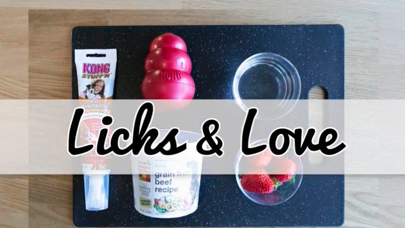 Image of Licks & Love Stuffed Kong Recipe