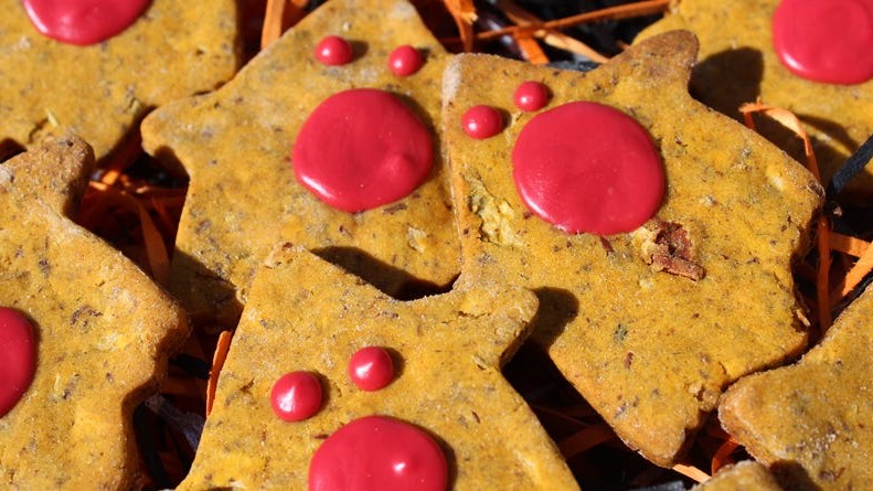 Image of Gluten-Free Pumpkin and Apple Dog Treats