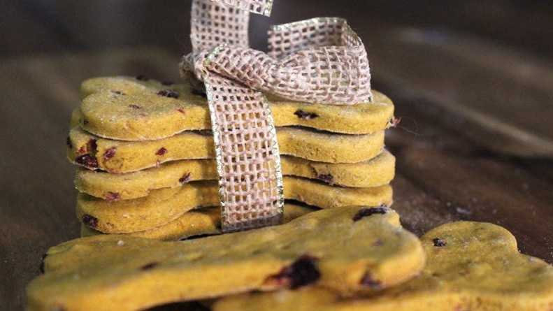 Image of Golden Milk Pumpkin and Cranberry Dog Treats