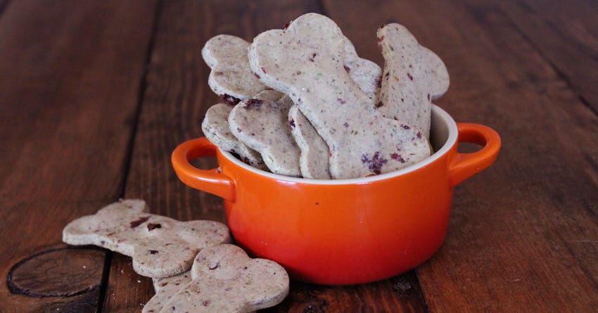 Cheesy Cranberry Dog Treats