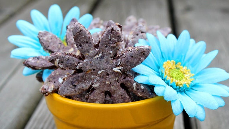 Image of Blueberry and Blackberry Dog Treats