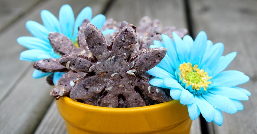 Blueberry and Blackberry Dog Treats