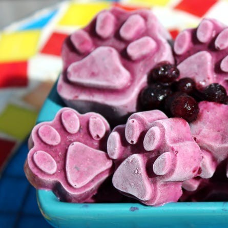 Blueberry Popsicles For Dogs (Pupsicles) - Spoiled Hounds