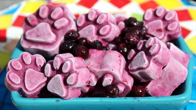 Image of Blueberry Dog Pupsicles