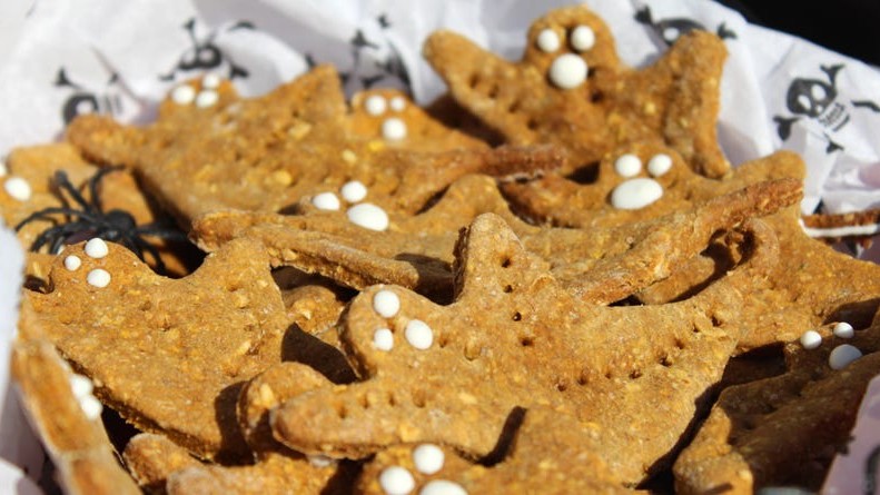 Image of Pumpkin Oatmeal Spice Dog Treat Recipe